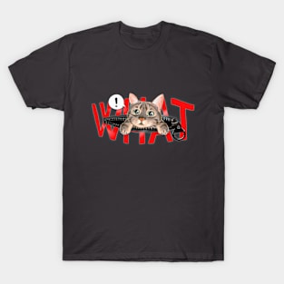 Surprise Kitty T-Shirt